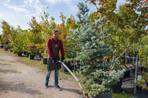 Mulching Services in Stacy, MN